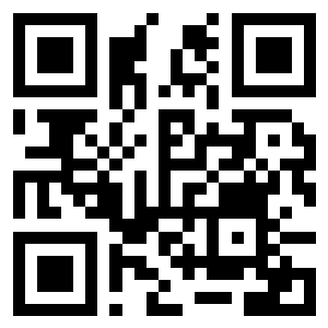 QR Code - Scan to visit this site