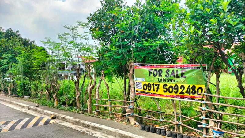Prime 1,014 Sq. M. Residential Lot in Greenland Executive Village, Cainta